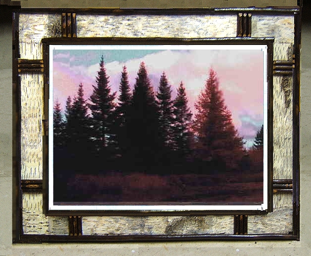 like birch bark Camp Decor 14\u201dx16\u201d Handmade Adirondack Frames Mirror Sumac Bark